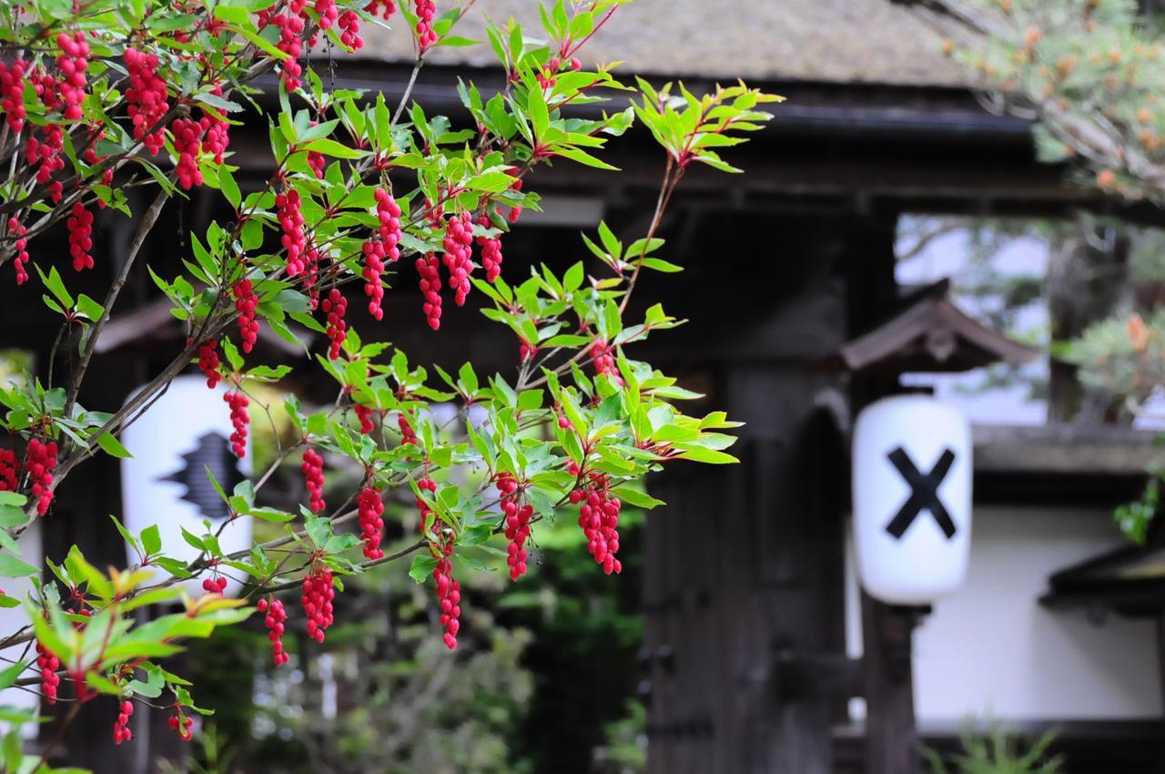 Sanboin Hotel Kōya-san Zewnętrze zdjęcie